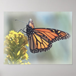 Monarch Butterfly Print