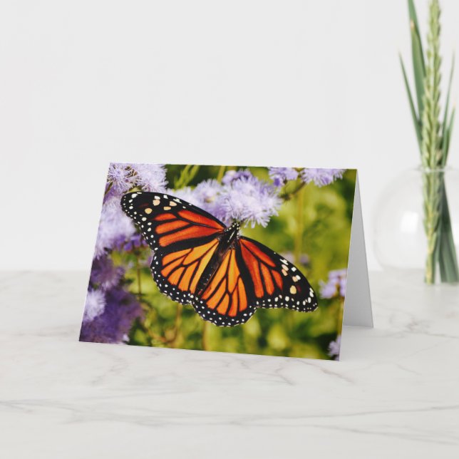 Monarch Butterfly Resting Scripture Note Card (Front)