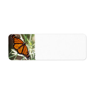 Monarch Butterfly Return Address Labels
