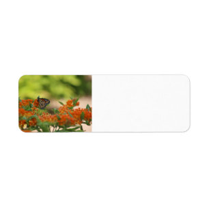 Monarch Butterfly return address labels