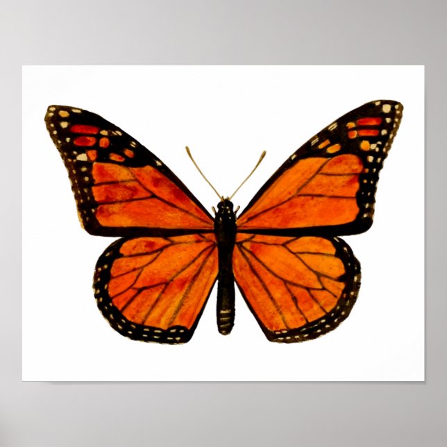 Monarch butterfly Small Poster (Front)