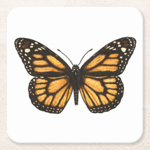 Monarch butterfly square paper coaster