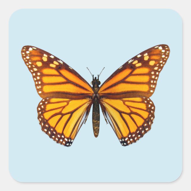 Monarch Butterfly Square Sticker (Front)