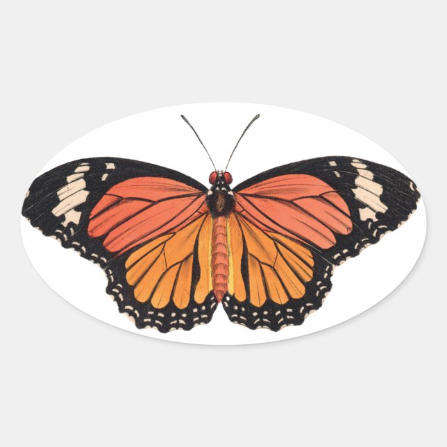Monarch Butterfly Stickers (Front)