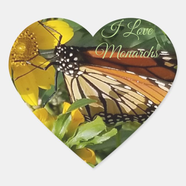 MONARCH BUTTERFLY - STICKERS (Front)