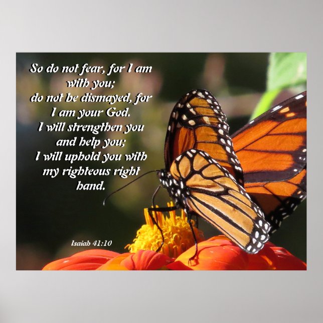 Monarch Butterfly Sunflower Flower Poster (Front)