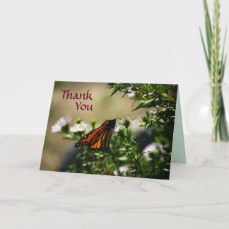 Monarch Butterfly Thank You Card