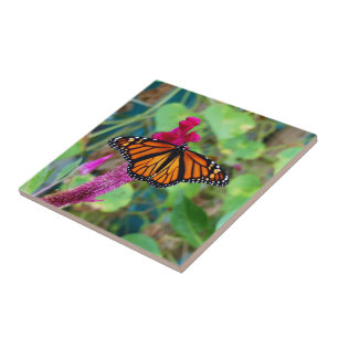 Monarch Butterfly Tile