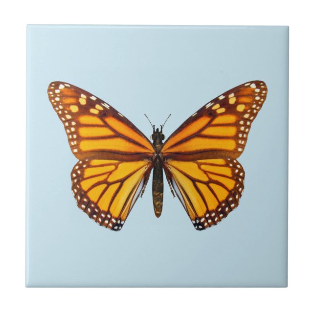 Monarch Butterfly Tile (Front)