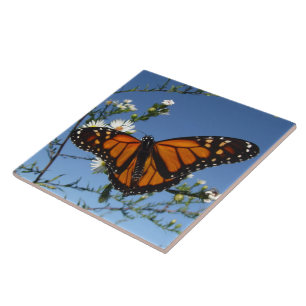 Monarch Butterfly Tile