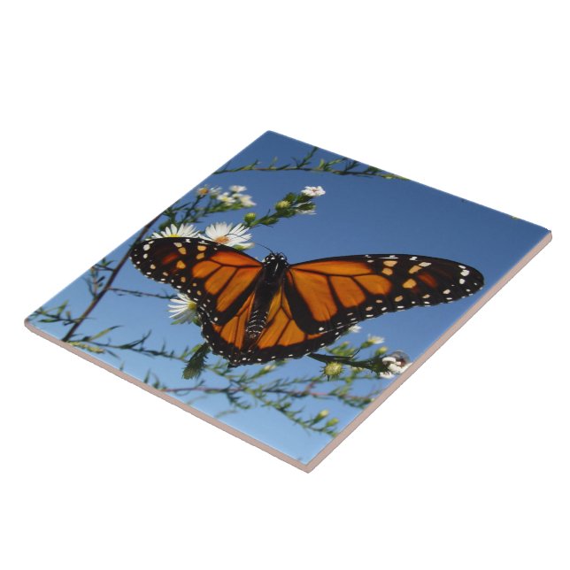 Monarch Butterfly Tile (Side)