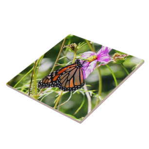 Monarch Butterfly Tile