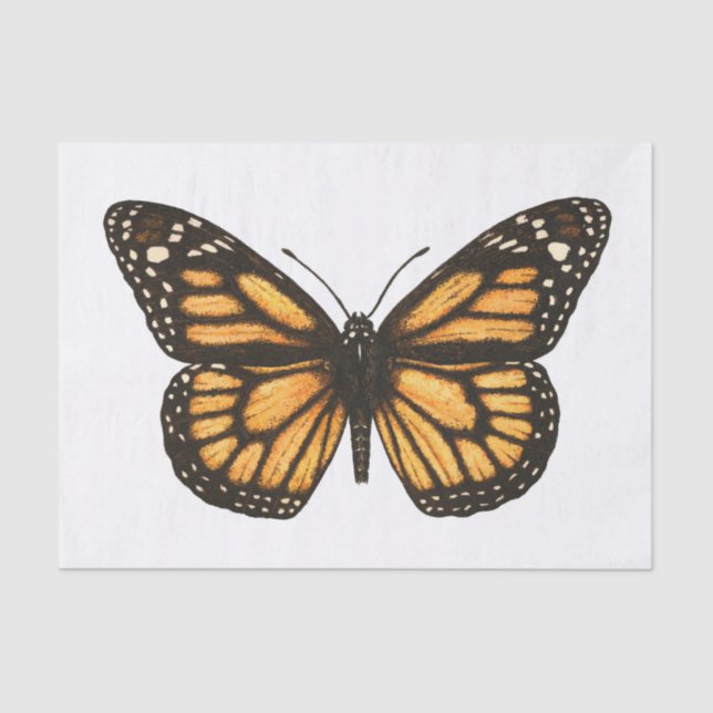 Monarch butterfly tissue paper (Front)
