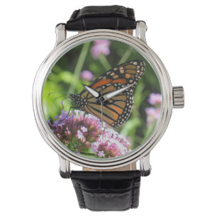 Monarch Butterfly Watch