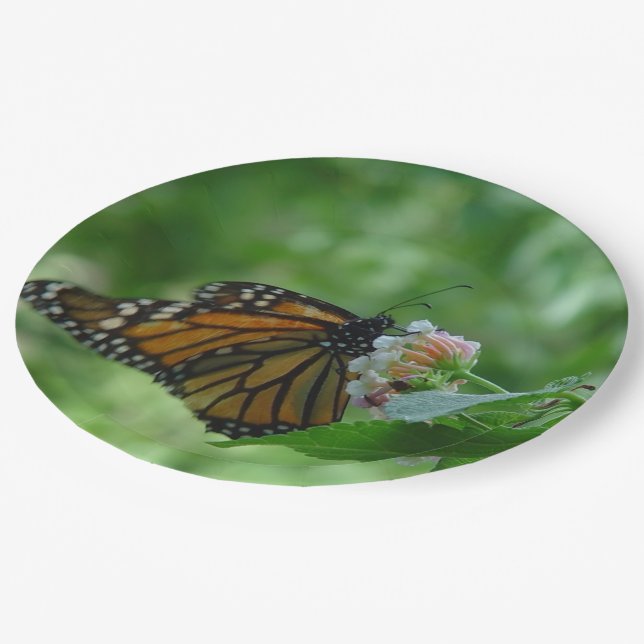 Monarch Butterfly White Pink Flower Paper Plate (Angled)