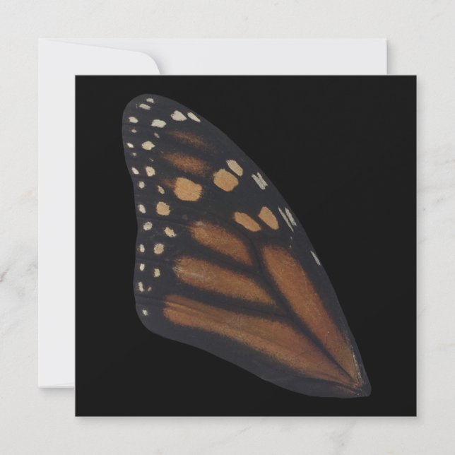 Monarch Butterfly Wing On Black  Holiday Card (Front)