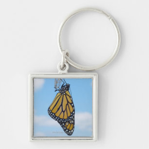 Monarch Butterfly, with Chrysalis Key Ring
