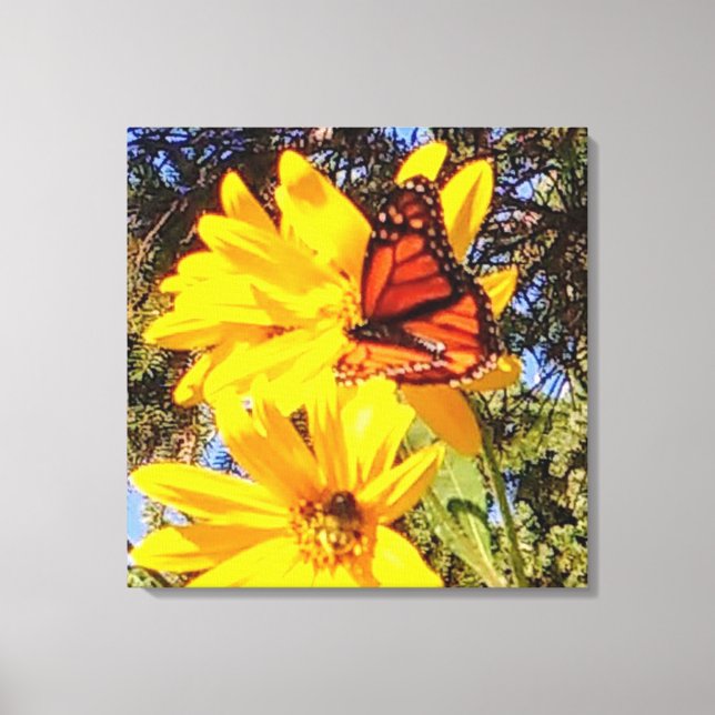 Monarch Butterfly Wrapped Canvas (Front)