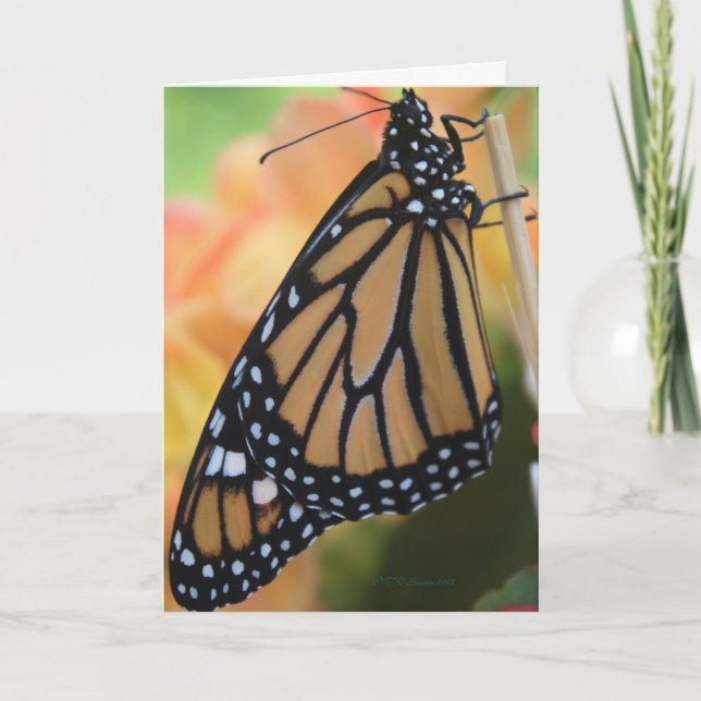 Monarch Card (Front)