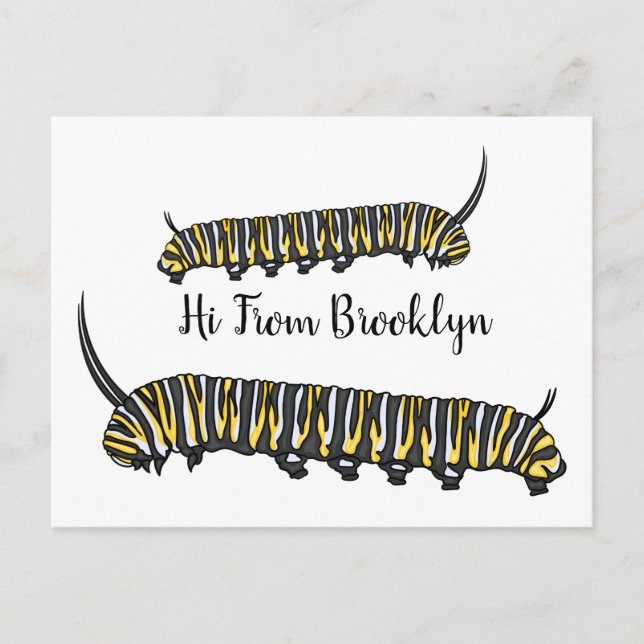 Monarch caterpillar cartoon illustration postcard (Front)