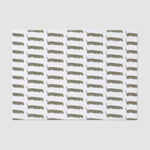 Monarch caterpillar cartoon illustration  tissue paper