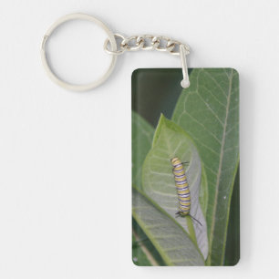 Monarch Caterpillar keychain
