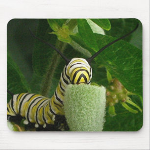 MONARCH CATERPILLAR mousepad
