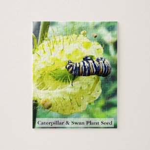 Monarch Caterpillar & Swan Plant Seed 110 Pcs Jigsaw Puzzle