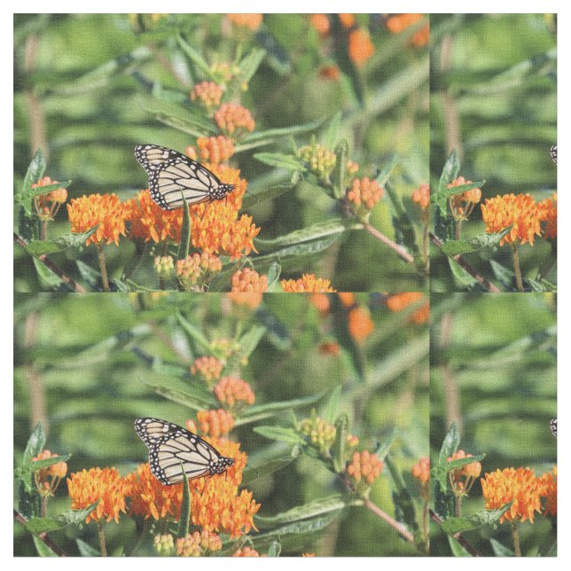 Monarch Fabric (Close Up)