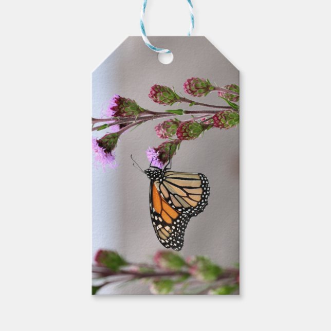 Monarch    gift tags (Front)