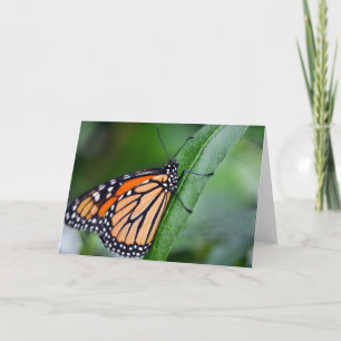 Monarch Greeting Card