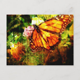 Monarch Grunge Postcard