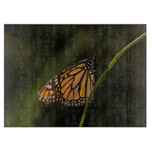 Monarch illuminated cutting board