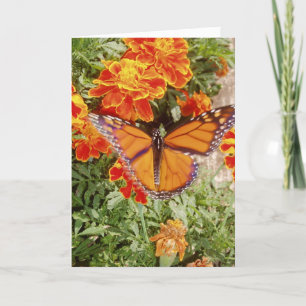 "Monarch In Motion" Get Well Card
