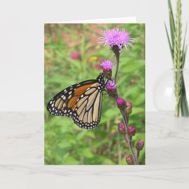 Monarch/Liatris Card (Front)