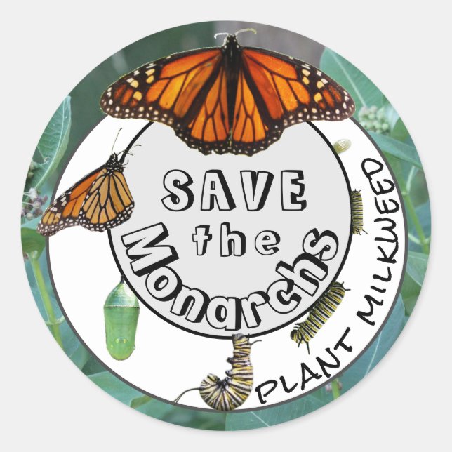 Monarch Life Cycle Plant Milkweed Classic Round Sticker (Front)