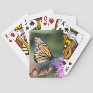 Monarch lunch  playing cards