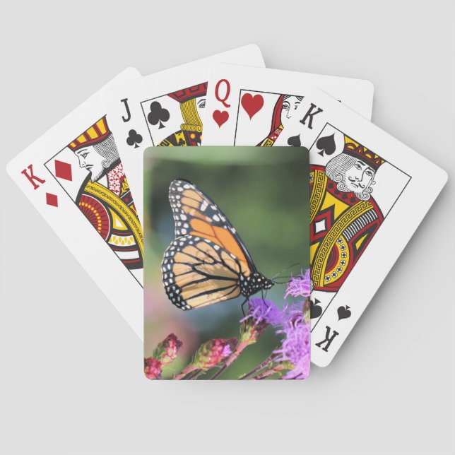 Monarch lunch  playing cards (Back)