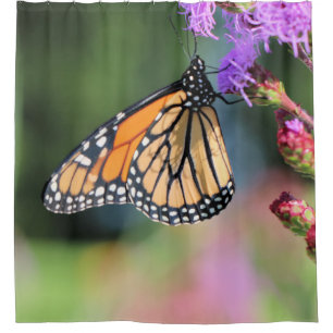 Monarch lunch  shower curtain