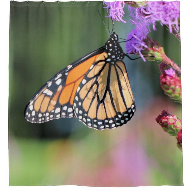 Monarch lunch  shower curtain (Front)