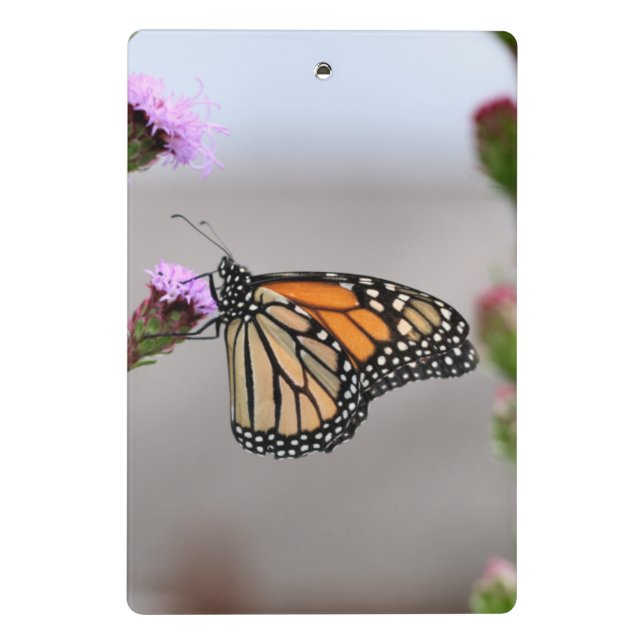 Monarch Mini Clipboard (Back)