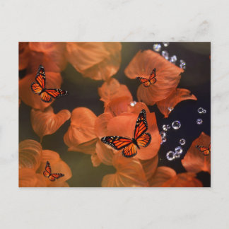 Monarch Moments Postcard