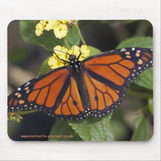 Monarch Mousemat