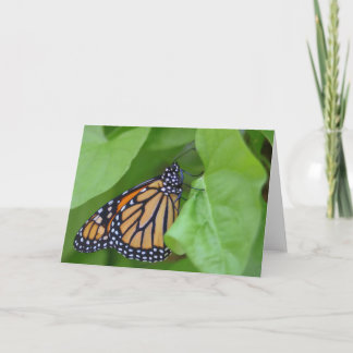 Monarch Note Card