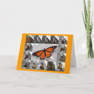 Monarch notecard
