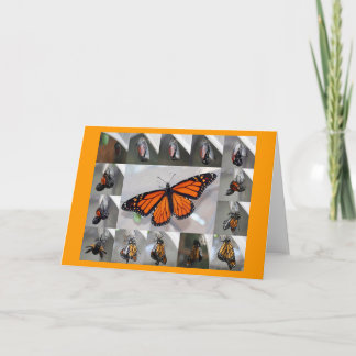 Monarch notecard
