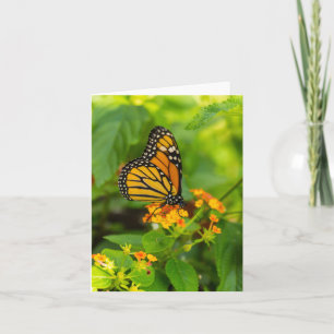 Monarch On Lantana Card