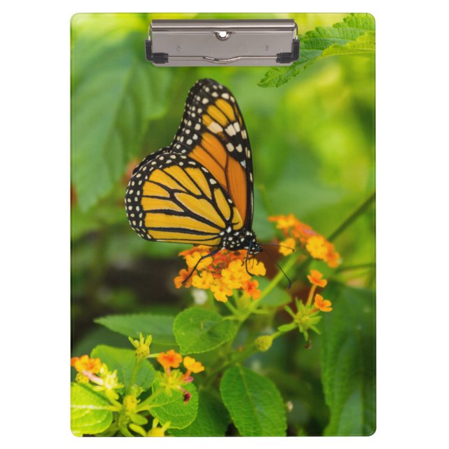 Monarch On Lantana Clipboard (Front)