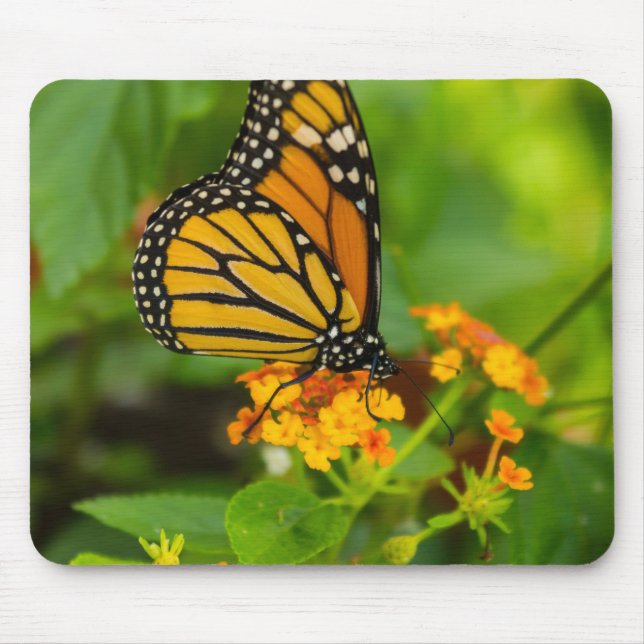 Monarch On Lantana Mouse Mat (Front)