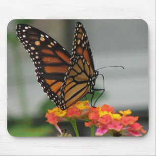 Monarch on Lantana Mousepad